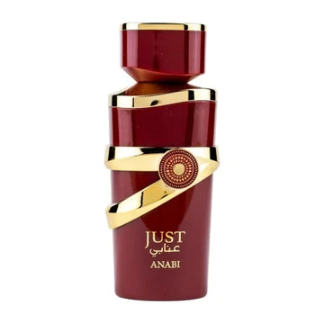 Apă de Parfum Just Anabi, Frangrance World, Damă - 100 ml - Secret Scent